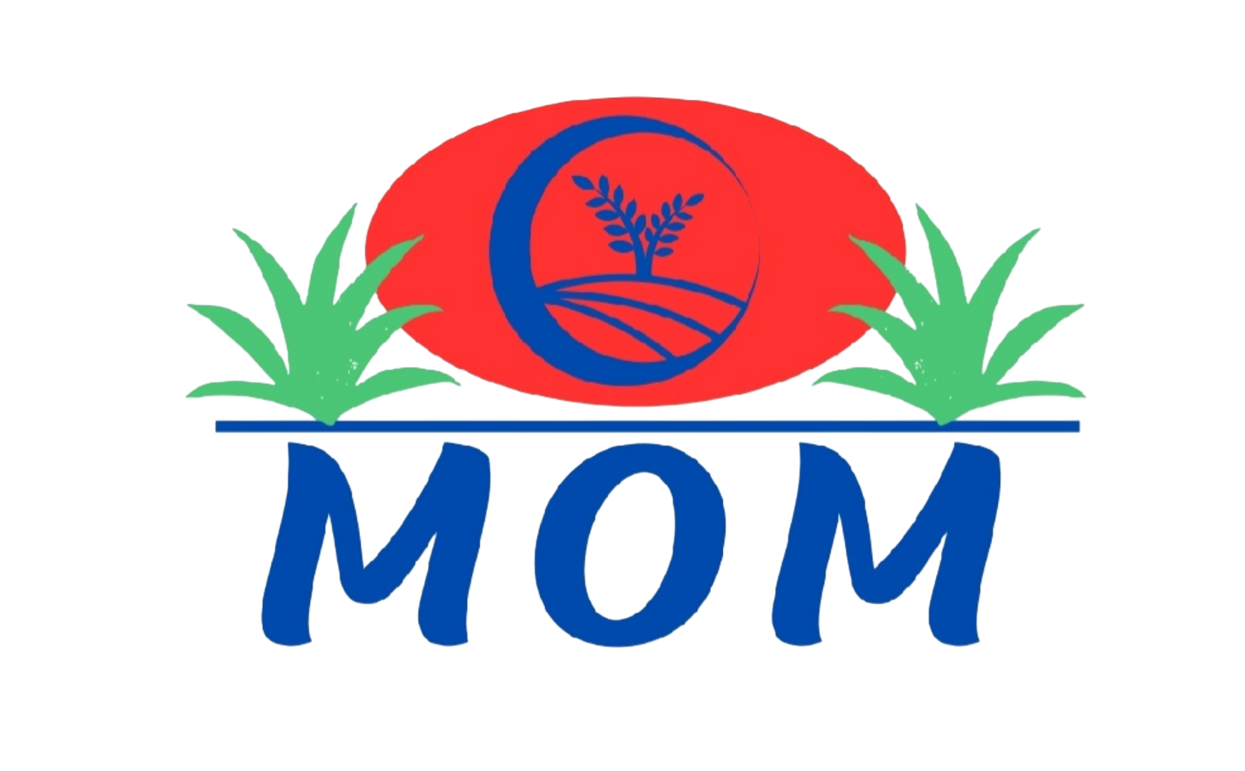 Momo Store Logo
